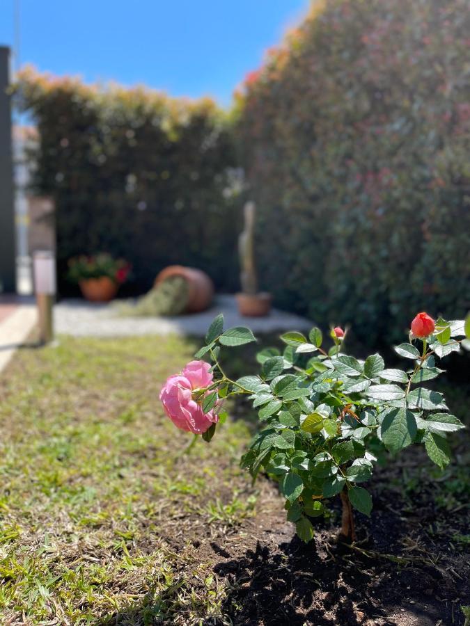 Mb Giurati Suites Mascali Εξωτερικό φωτογραφία